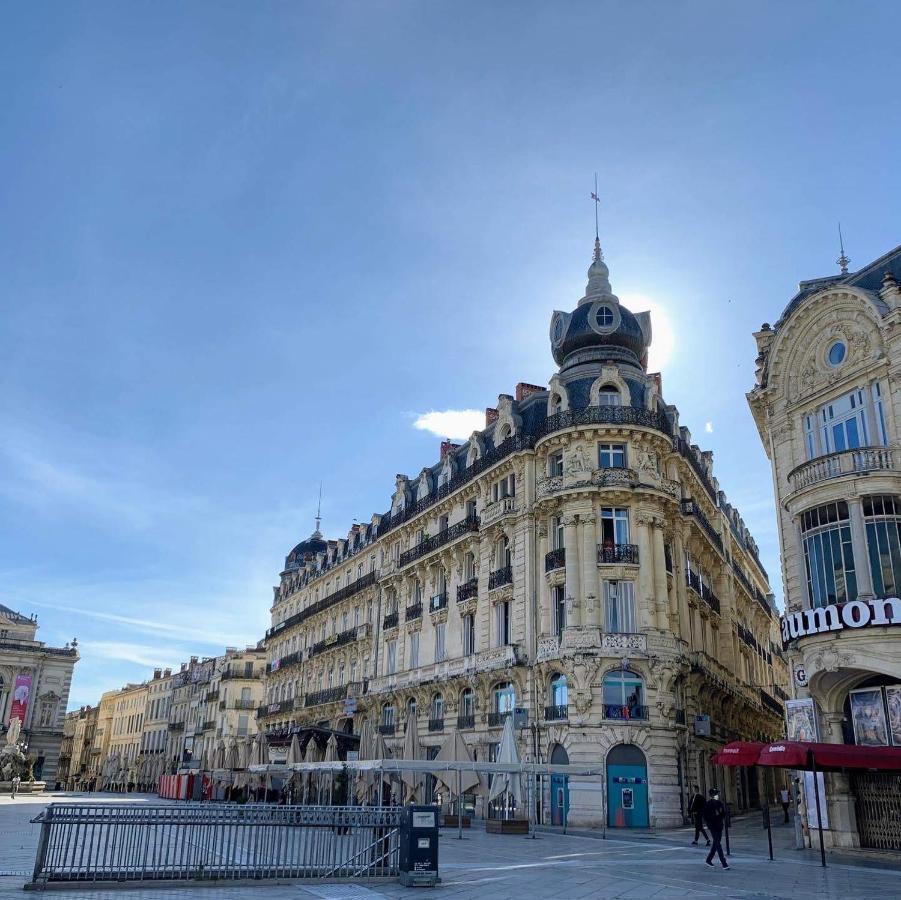 Home Chic Home - La Terrasse Bazille - Netflix Montpellier Esterno foto
