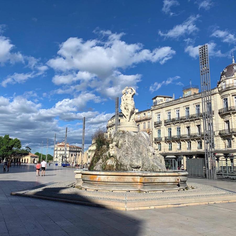 Home Chic Home - La Terrasse Bazille - Netflix Montpellier Esterno foto