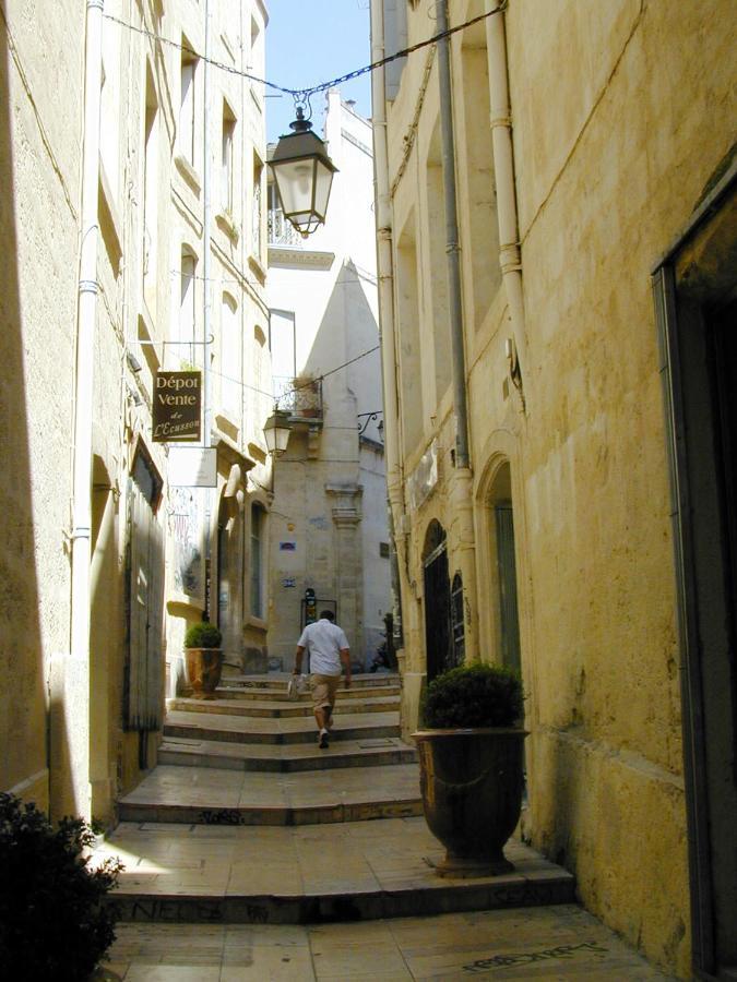 Home Chic Home - La Terrasse Bazille - Netflix Montpellier Esterno foto