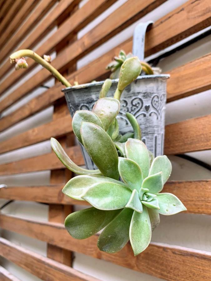 Home Chic Home - La Terrasse Bazille - Netflix Montpellier Esterno foto